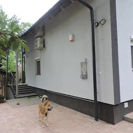 Szepezd Oak Villa Балатонсепезд Екстериор снимка