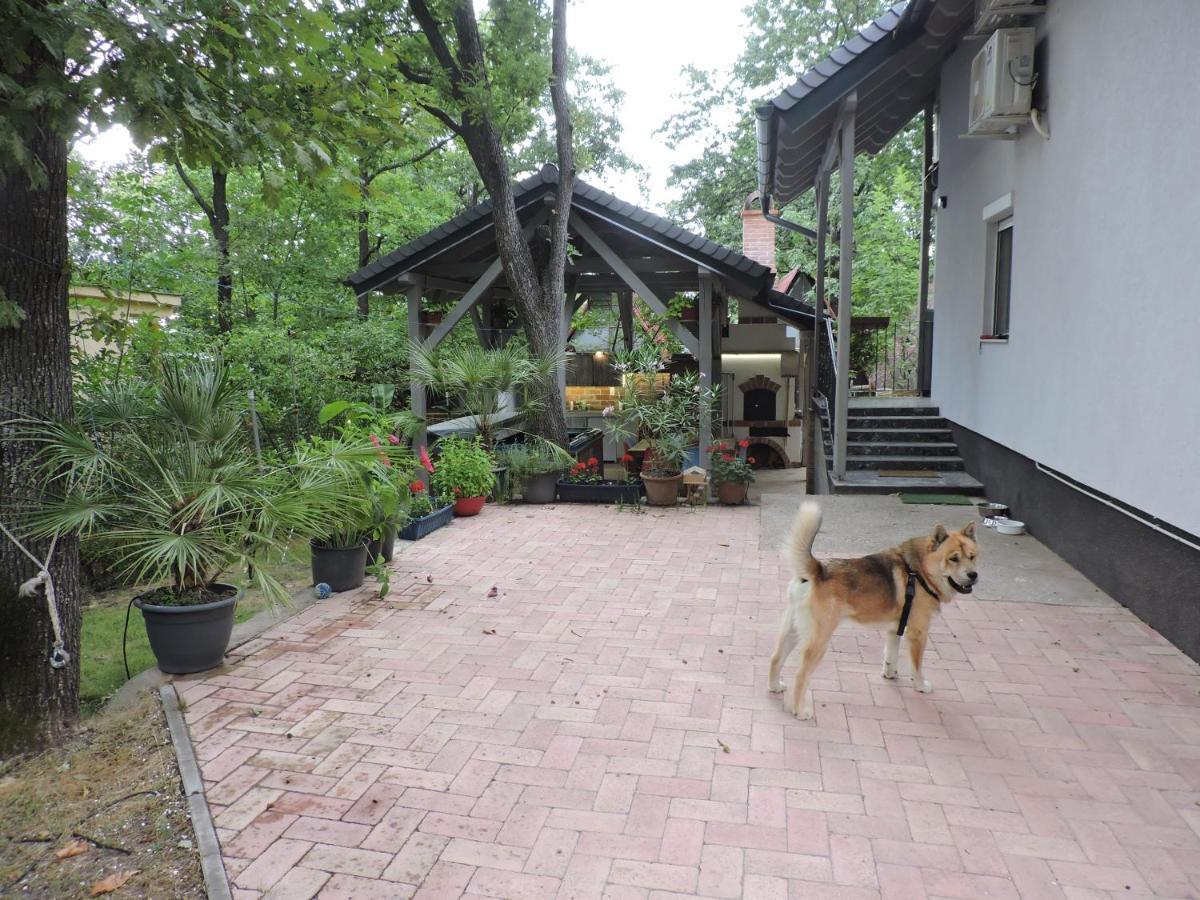 Szepezd Oak Villa Балатонсепезд Екстериор снимка